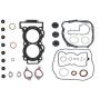 Полный комплект прокладок Polaris NA-50012F  5813345, 3610133, 3610165, 3087957, 5413361, 5412954, 5813465, 5813941, 3610151, 3610152, 3610220