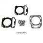 Верхний комплект прокладок BRP NA-80010T 810956 420630210 + 420630195 + 420630260 + 420230515 + 707600317 + 420630642