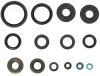 Комплект сальников мотора Kawasaki KVF 650I/750 P400250400029