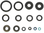 Комплект сальников мотора Kawasaki KVF 650I/750 P400250400029