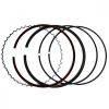 Поршневые кольца 1200/800/400cc Can-Am Outlander /Renegade /Commander /Maverick /Ski-Doo Expedition /MX Z /GSX /GRAND TOURING 420685244 /420685244 /420296774 PR98