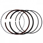 Поршневые кольца 1200/800/400cc Can-Am Outlander /Renegade /Commander /Maverick /Ski-Doo Expedition /MX Z /GSX /GRAND TOURING 420685244 /420685244 /420296774 PR98