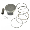 Поршневой комплект 102мм Ctels 700D /Dinli 700 E150022-01 /PT100 PT100