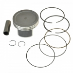 Поршневой комплект 102мм Ctels 700D /Dinli 700 E150022-01 /PT100 PT100