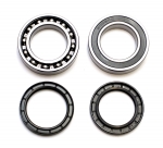 Комплект подшипников КПП Arctic Cat 1602-344, 2402-612 2602-172 2602-281 2602-198 SM-03206