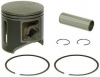 Поршень Arctic Cat 559 (T-Moly, номинал) 0905-096, 0905-169, 0905-167 SM-09266