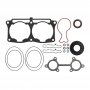 Комплект прокладок SPI полный для Polaris 1500198 5411359 5411675 5412891 5416132 5416613 5416669 5416911 5436287 5814504 SM-09539F