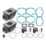 Ремкомплект цилиндров Sledex для Ski-Doo 550F '03-'09 SM-09610K 420923974, 420923975, 420923978 420950911 420950912 420950910 293300026 420889050 420815300 420916405 420916407 420845106