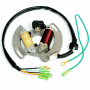 Статор генератора Yamaha Blaster 200 03-06 5VM-85560-00-00 /ST140 ST140