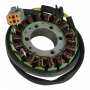 Статор генератора CanAm G2/G1 1000/800/650/500 420296907 / 420684850 / 420685920 ST216CA