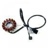 Статор генератора для Kawasaki KVF 750 BruteForce /KRF 800 Teryx 12+ 21003-0134 /21003-0108 /21003-0167 /21003-0143 /21003-0166 /ST99CA ST99CA