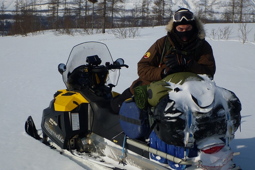 кофры и сумки