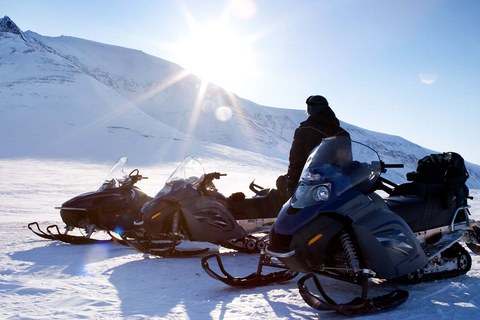 кофры и сумки